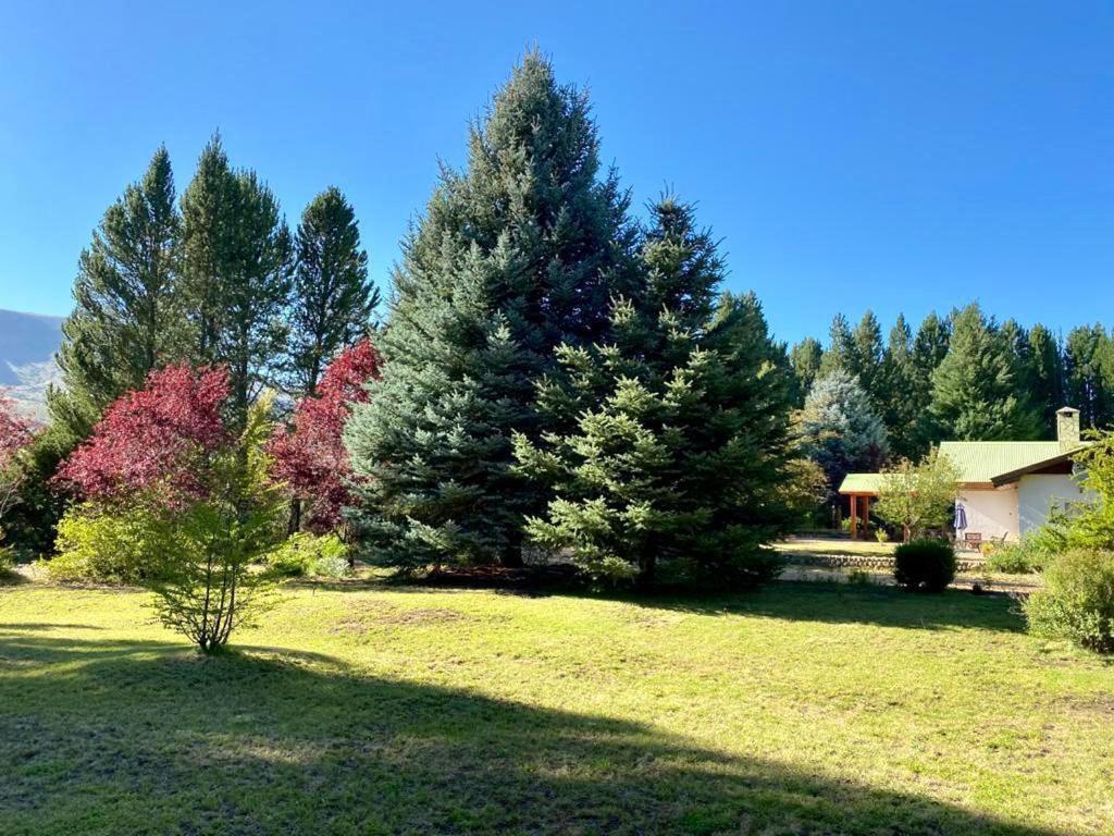 Aluminé Estancia Quillen Lodge - Hosteria מראה חיצוני תמונה